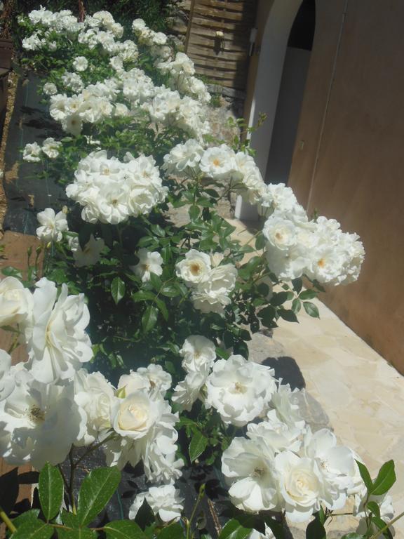 Aloasis Bed and Breakfast Grimaud Εξωτερικό φωτογραφία